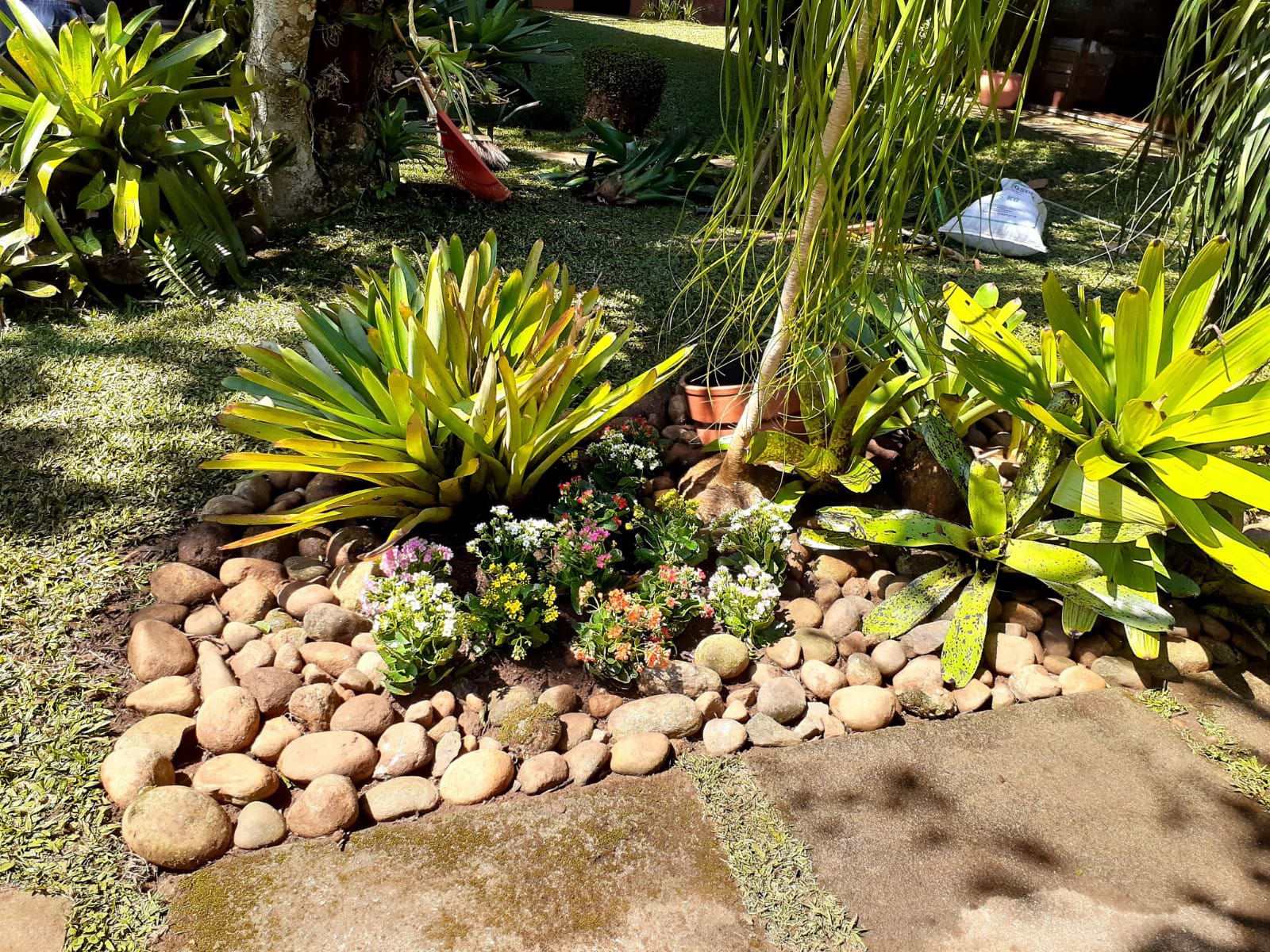 PLANTAS E PAISAGISMO EM TERESÓPOLIS RJ