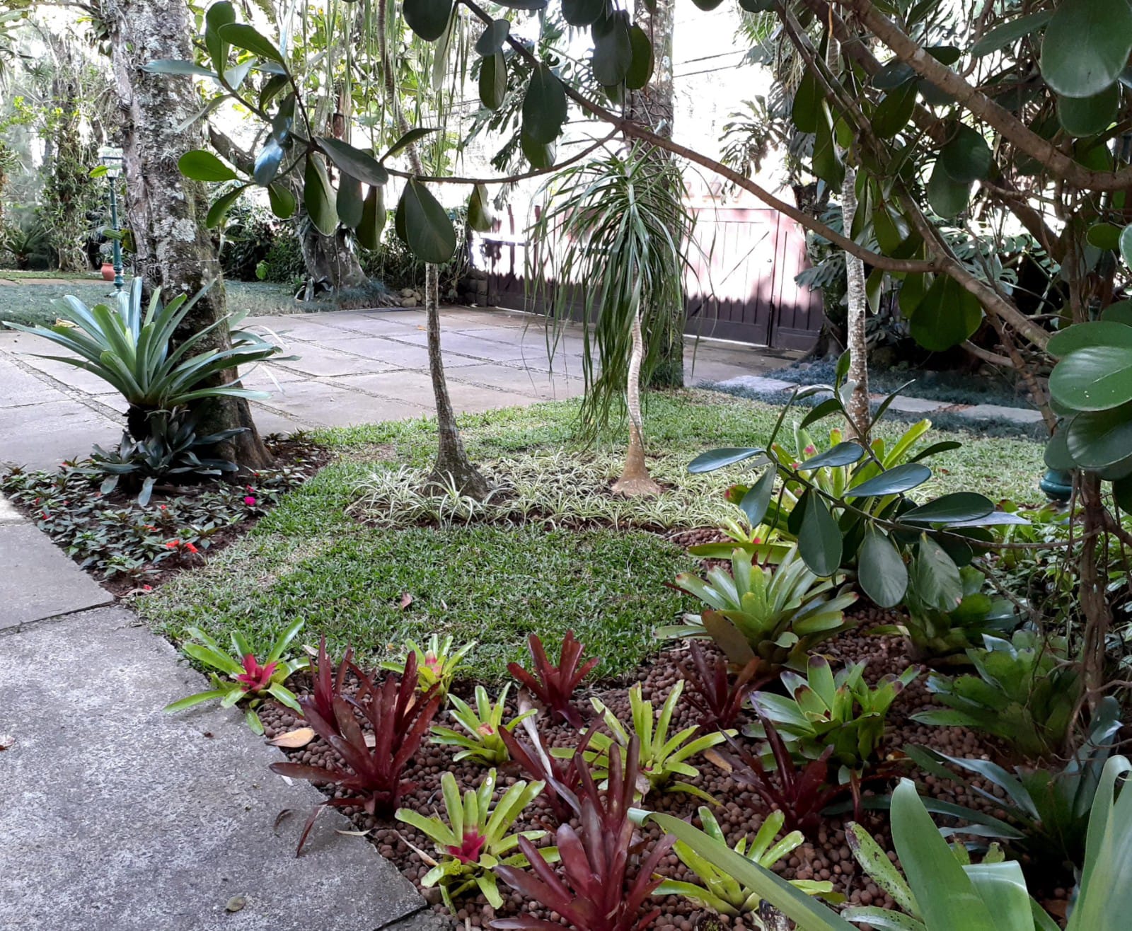 PLANTAS E PAISAGISMO EM TERESÓPOLIS RJ
