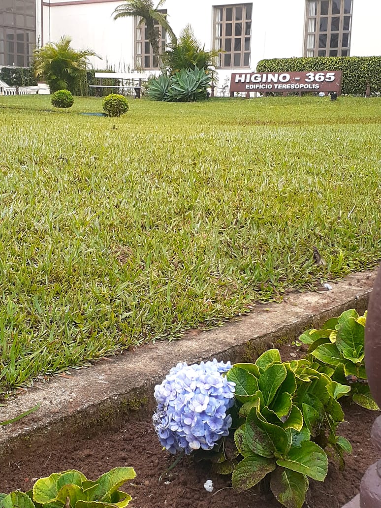 PLANTAS E PAISAGISMO EM TERESÓPOLIS RJ
