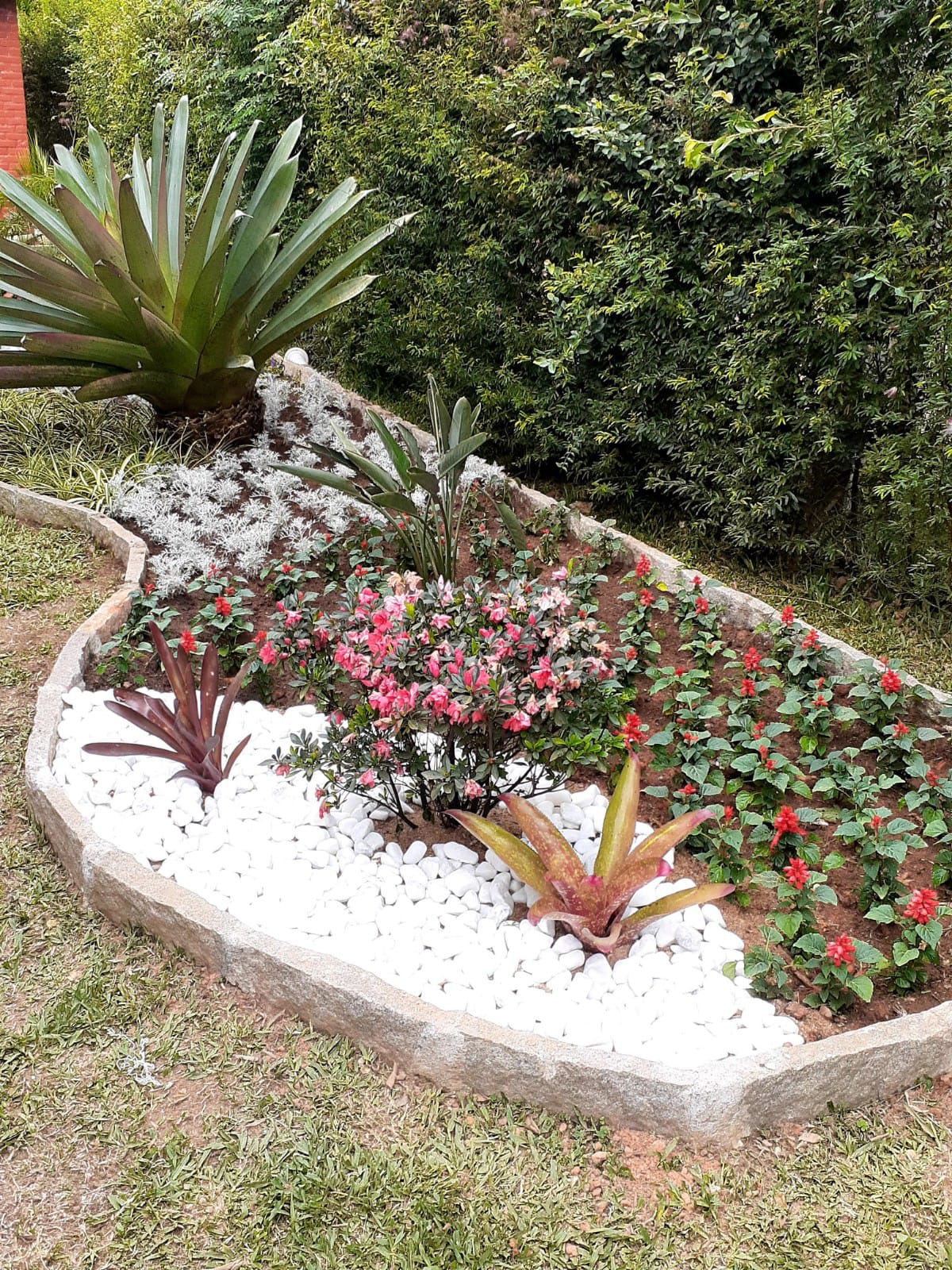 PLANTAS E PAISAGISMO EM TERESÓPOLIS RJ