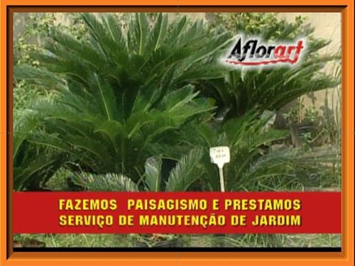 AFLORART Floricultura. 