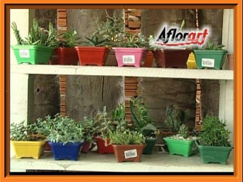 AFLORART Floricultura. 