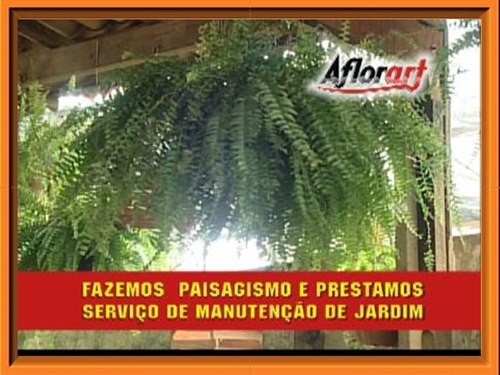 AFLORART Floricultura. 