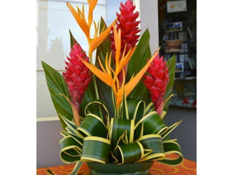 AFLORART Floricultura. 