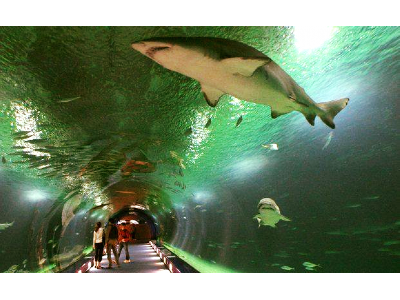 AGÊNCIA DE VIAGEM E TURISMO EM RAMOS - RJ