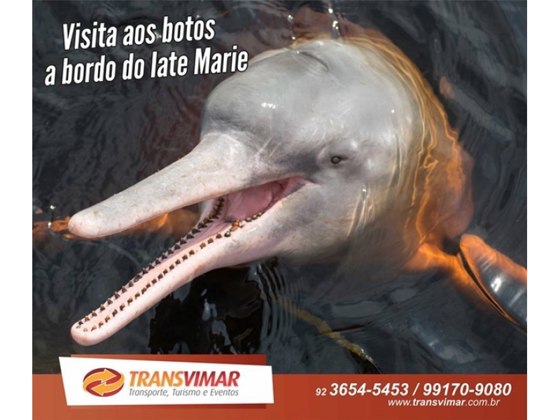 TURISMO ECOLOGICO EM MANAUS