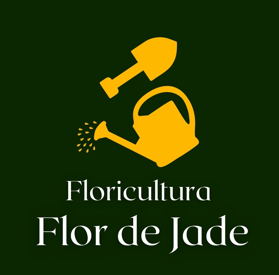 FLORICULTURA FLOR DE JADE