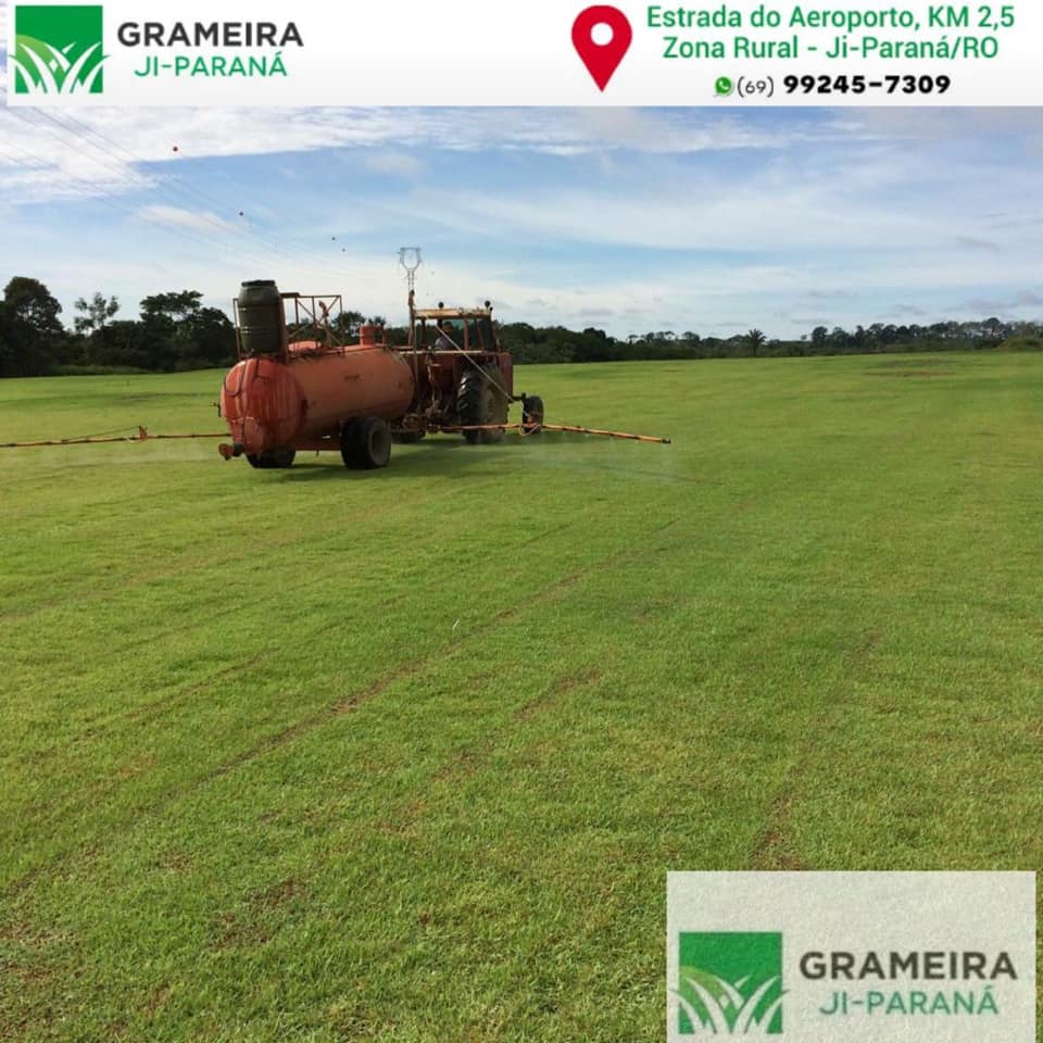 GRAMA EM JI - PARANÁ - RO