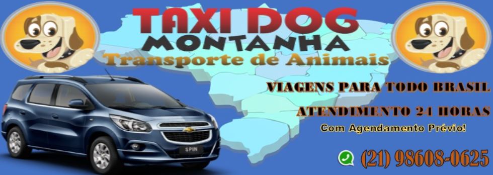 TAXI DOG EM PETRÓPOLIS  - RJ